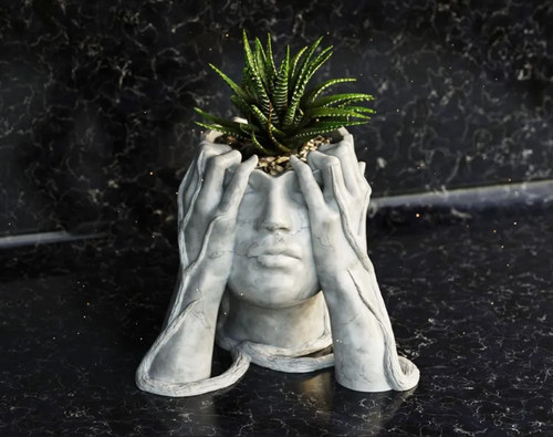 Plant pot vase home - /, decor