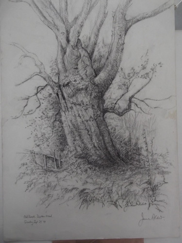 Original pencil drawing an - pencil, of