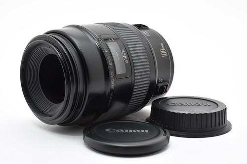 Canon 100mm 8 - canon, macro