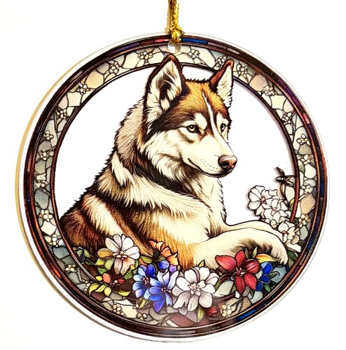 Beautiful husky dog puppy - beautiful,