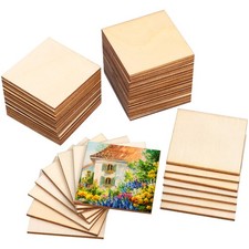  50 Pcs Unfinished Wood Pieces