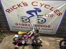 Elswick Misty 12” Girls