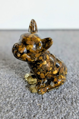 Tigers eye french - eye, bulldog