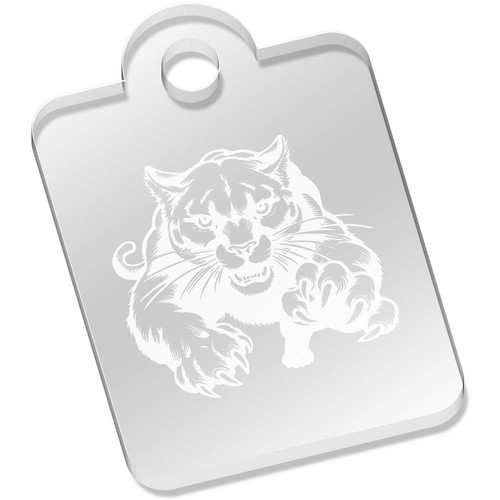 Mountain lion running - lion, running'