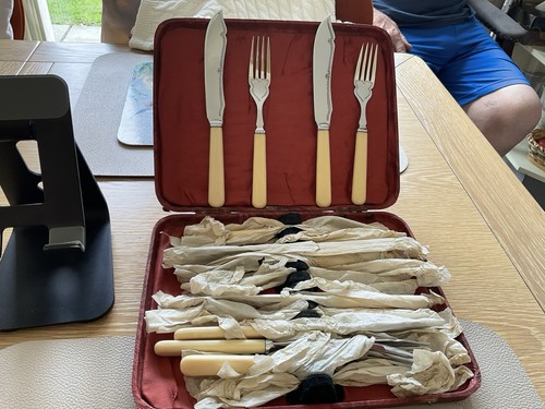 Complete fish knives and fork - fish,
