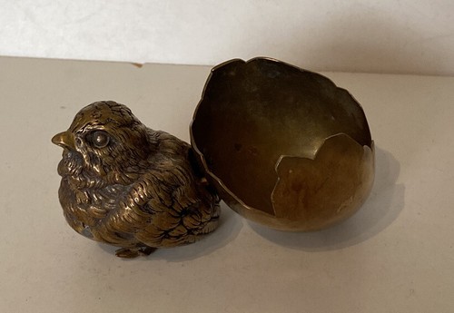 Geschutzt chick with shell - with,