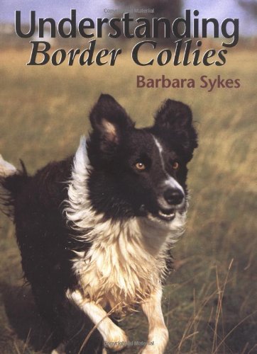 Understanding border - understanding,