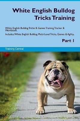 White english bulldog tricks - english,