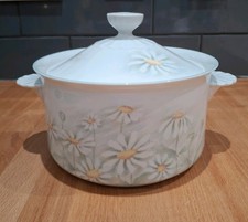Vintage Denby Serenade Fine