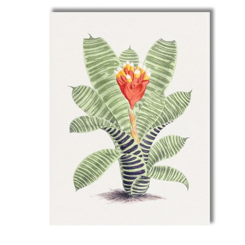 Canvas wall art decor - canvas,