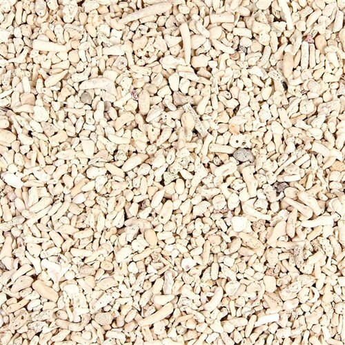 Aquatic coarse coral - coarse, sand