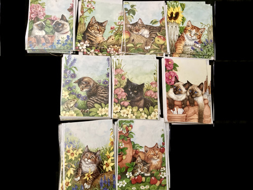 Pet cat birthday - cards, with