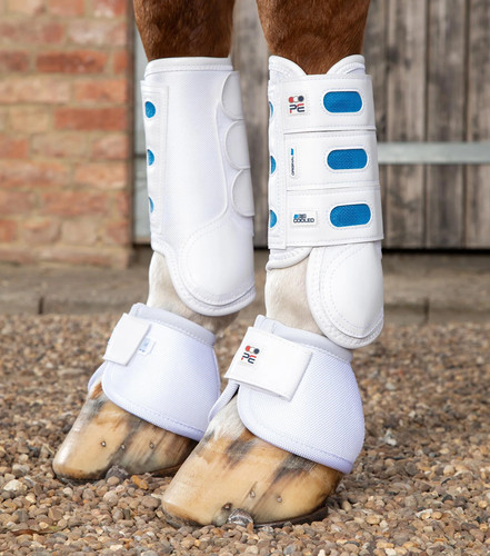 Premier equine air cooled - air,