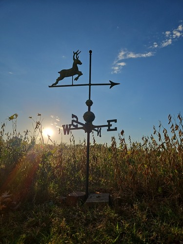 Antquie copper weathervane - antquie,