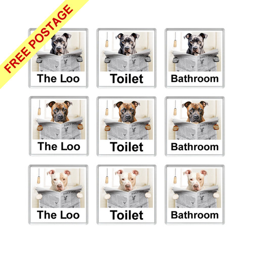 Staffordshire bull terrier - staffordshire,