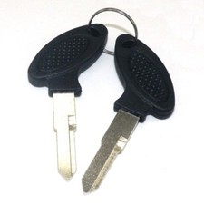 2XBlank Uncut Key for Some