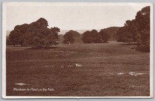 MERSHAM LE HATCH Kent Deer in the Park RP Postcard