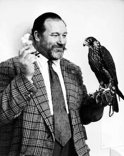 James robertson justice prints - justice,