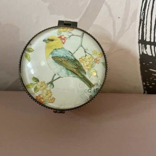 Beautiful bird trinket - bird,