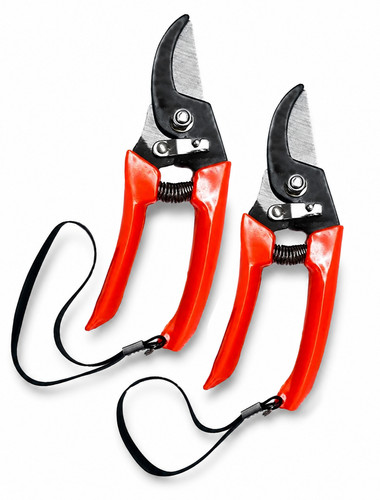 Pruning shears garden - shears,