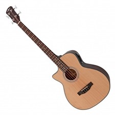 Electro acoustic bass guitar - electro,