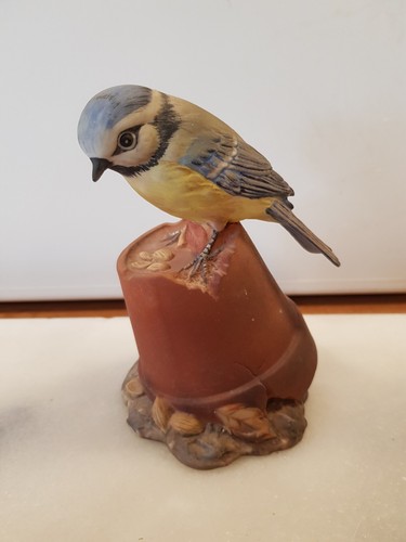 Royal osborne blue tit - royal, on