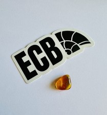 Baltic Amber with Mosquito Inclusion 100% Real, No Fakes, UK Seller 🇬🇧