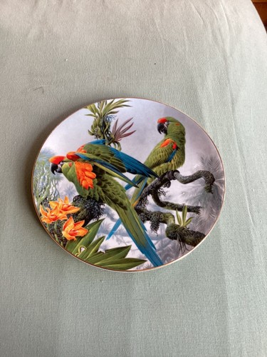 Wedgewood decorative plate - decorative,