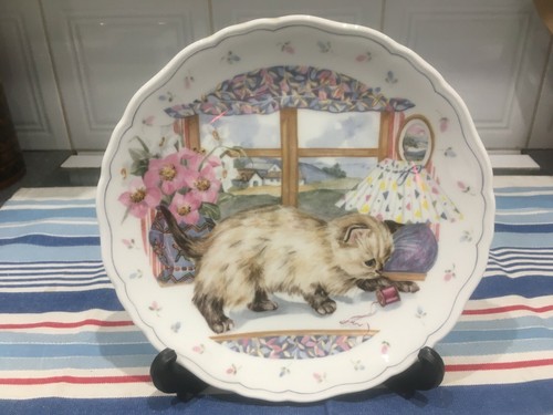 Royal albert siamese kitten - royal,