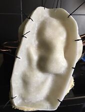 READY TO POST Fibreglass And Latex Mould Of A Lovely Xxl Detailed Rare Skull