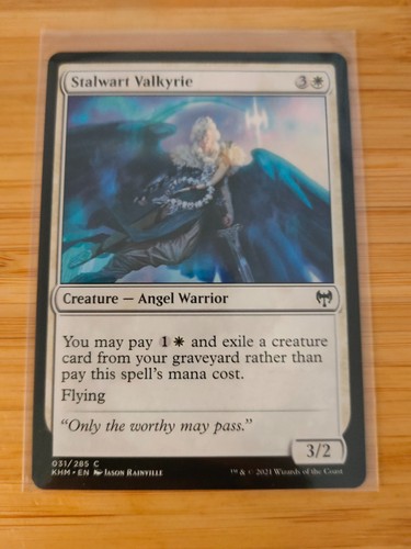 Mtg stalwart valkyrie 031 - mtg,