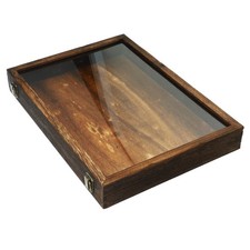Vintage Specimen Display Case