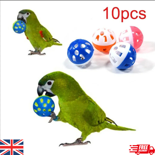 10pcs pet bird - 10pcs,
