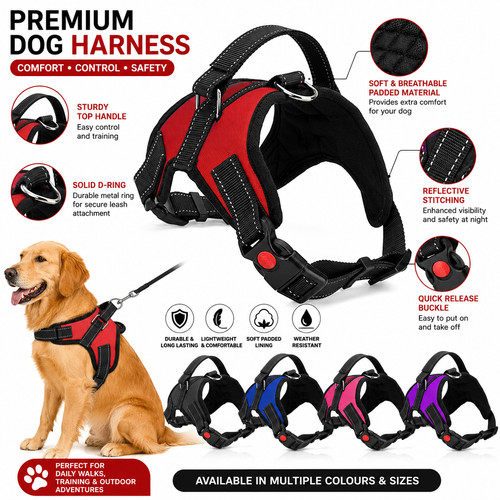 Dog harness pull for small - no,