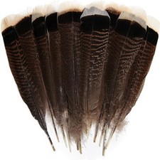 Natural Wild Turkey Tails Feathers Feathers Natural Quill Feathers   DIY Crafts