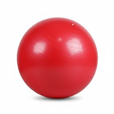 65cm Gym Ball Core Workout