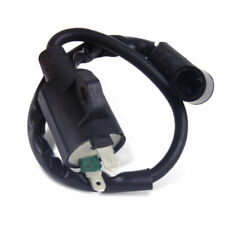 High Voltage Coil Generator