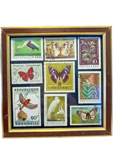 Butterfly bird miniature - butterfly,