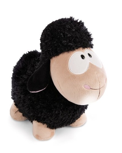 Nici standing black sheep - nici,