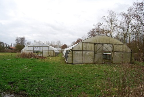 Photo 6x4 large polytunnels - large, /
