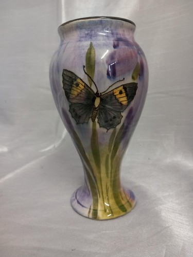 Stunning lilac butterfly - stunning,
