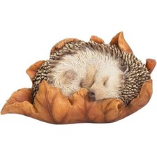 Vivid Arts Baby Hedgehog In