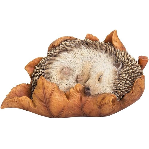 Vivid arts baby hedgehog - vivid,