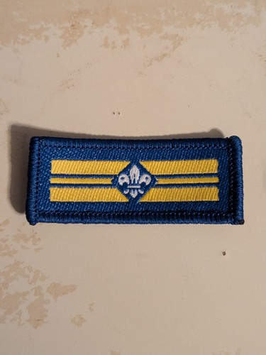 Scout leadership badge - scout,