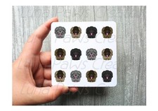 Briard Coaster, Novelty Dog