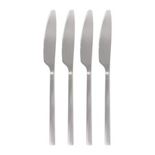 Stainless Steel Dinner Knives