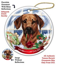 Rhodesian Ridgeback Santa...I Can Explain! Holiday Ornament