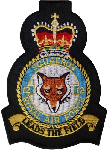 Squadron royal air - squadron,