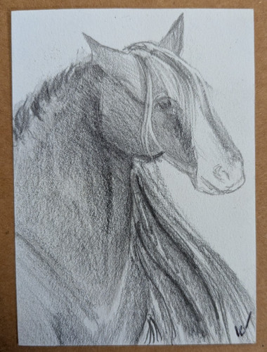 Aceo original art horse - original,