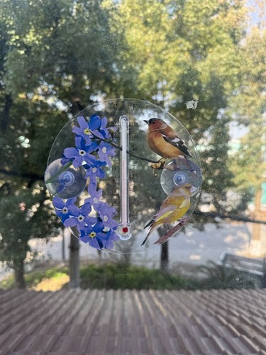 Outdoor window thermometer - outdoor,